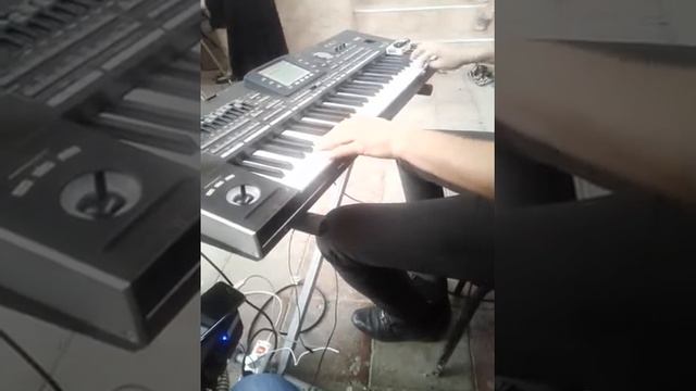 Korg pa3x - Amal sintezator смотреть онлайн