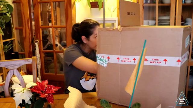 Plant Unboxing Vlogmas #6 смотреть онлайн