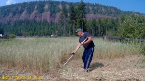 Мини сенокос, ядерный квас, гавайская смесь
