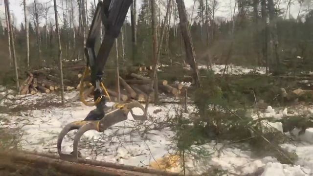 Лесоповал в Пировском районе