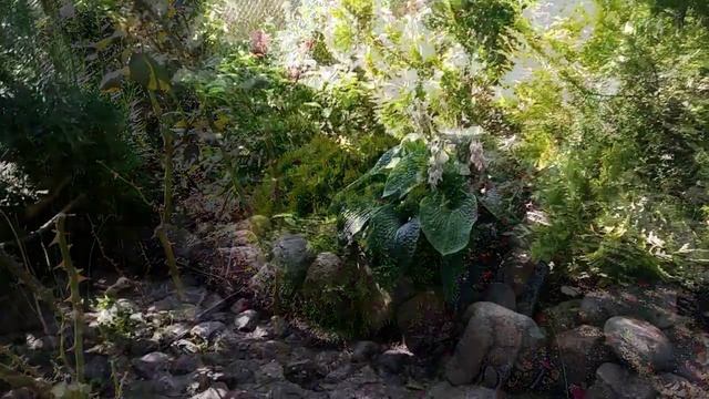 Клумба из ткани в цементе нуждается в переделке смотреть онлайн