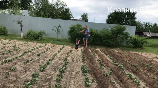 Первое окучивание картофеля легким культиватором. смотреть онлайн