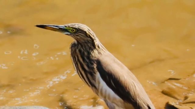 Canon EOS M200 Image Samples | Canon M200 Photography Additional Samples