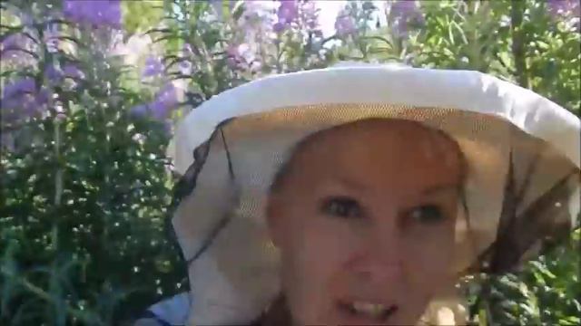 Чай Баи Че - настоящий иван-чай. Бая Че Доктор Натуропатии смотреть онлайн