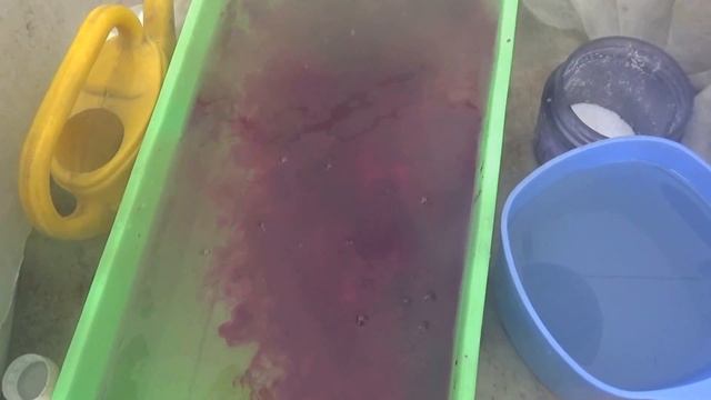 Посадка лука севка и моркови. смотреть онлайн