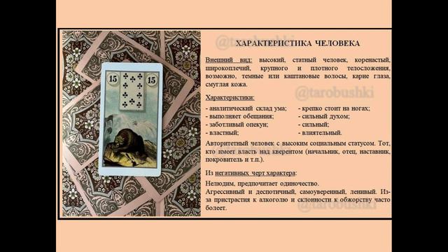 15. МЕДВЕДЬ смотреть онлайн