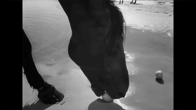 Рождественская звезда. Пастернак смотреть онлайн