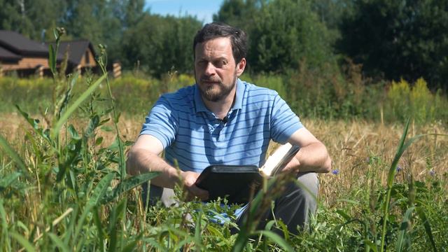 Пшеница и плевелы | Борьба с дьяволом | БИБЛИЯ С МАККАВЕЕМ смотреть онлайн