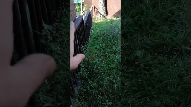Забор из профильной трубы и профнастила смотреть онлайн