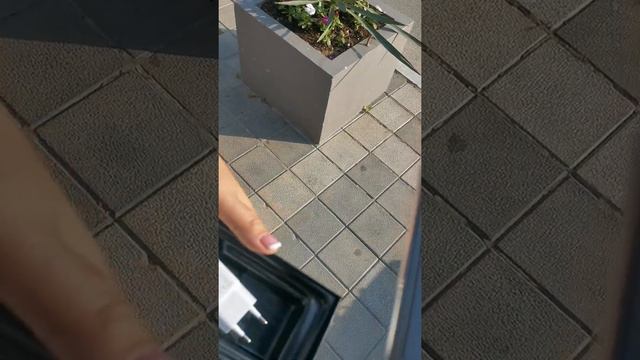 Эксперимент Без лоха жизнь плоха или как местные барыги впаривают реплики в Анапе смотреть онлайн