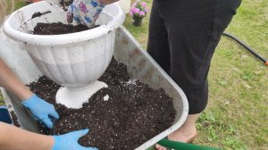 Посадка Петунии в Вазоны.mp4