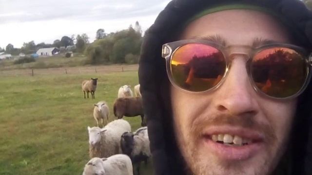 Деревня Новосёлки смотреть онлайн