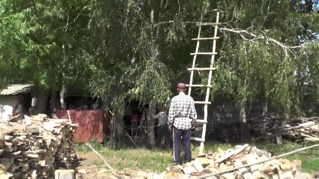 Поднять ветку берёзы смотреть онлайн