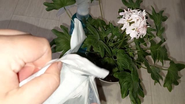 1 подкормка для СУПЕР ДОЛГОГО ЦВЕТЕНИЯ герани смотреть онлайн