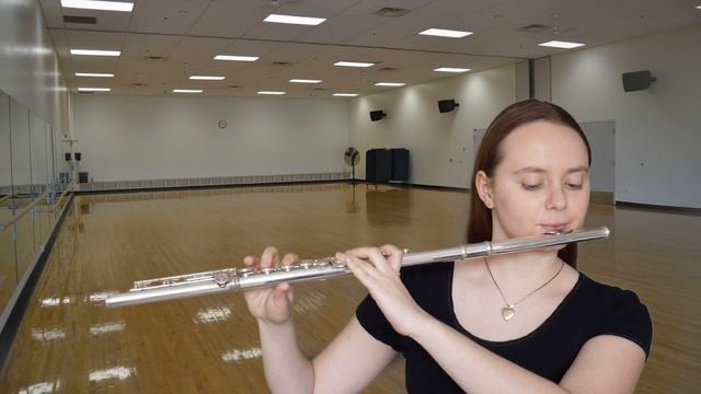 The Nutcracker - Dance of the Sugar Plum Fairy on Flute смотреть онлайн