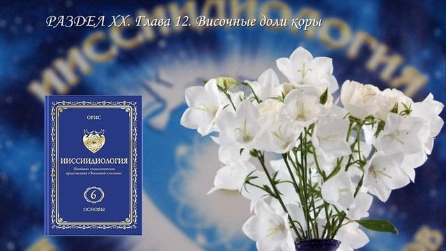 6 том. Раздел ХХ. Глава 12 — Ииссиидиология Аудиокнига смотреть онлайн