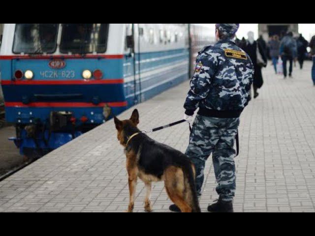 Беспредел!Менты ломятся в кабину машиниста/The cops are breaking into the driver's cab смотреть онлайн