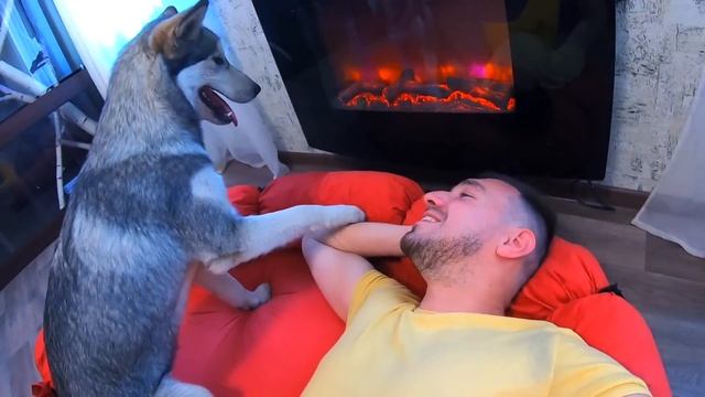 УРА! День Рождения хаски Рокки / скрытая камера и распакова подарков