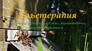 Ульетерапия Гул Пчел 3 часа исцеляющий гул пчел жужжание пчел пчелы помогают успокоиться