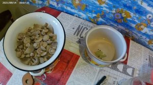 ГРИБЫ синие ножки на зиму