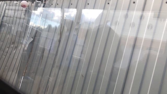 От остановки«Метро Каширская» до остановки «Ст. Бирюлёво-Тов.» на автобусе с891 // 20 июля 2022 год смотреть онлайн