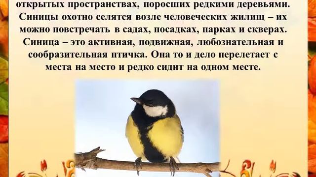 Синичкин день смотреть онлайн