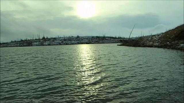 2023.10.14. Норильск. Озеро Общения. Грибы пособирать не удалось. смотреть онлайн