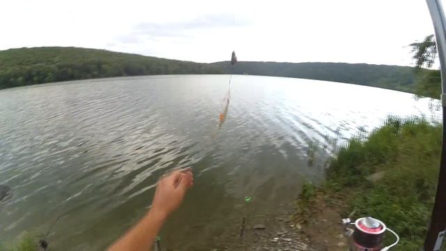 РЕКОРДНАЯ РЫБАЛКА НА КАРАСЯ И ЛЕЩА смотреть онлайн