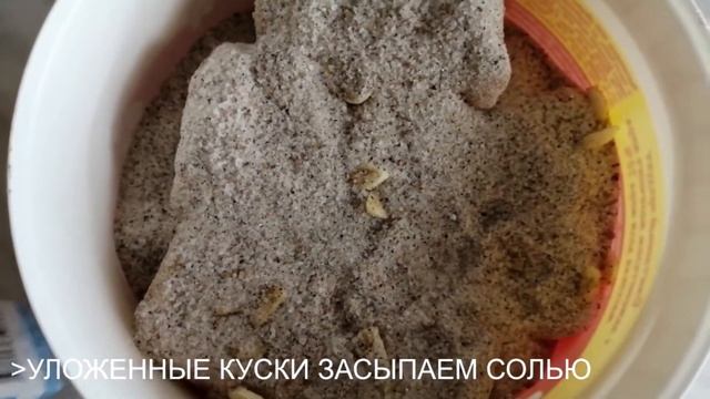 Теперь я солю это сало только таким способом! Всем нравится соленое сало. смотреть онлайн