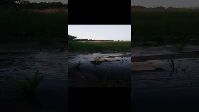 решил охладиться