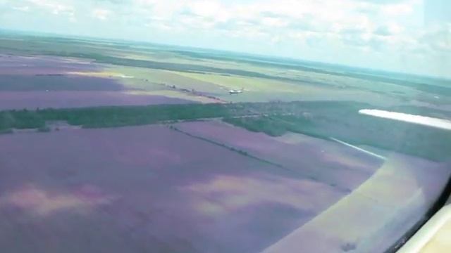 С высоты птичьего полета смотреть онлайн