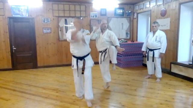Kata Seisan Uechi ryu karate / last part / Sensei Popovich 7 Dan смотреть онлайн