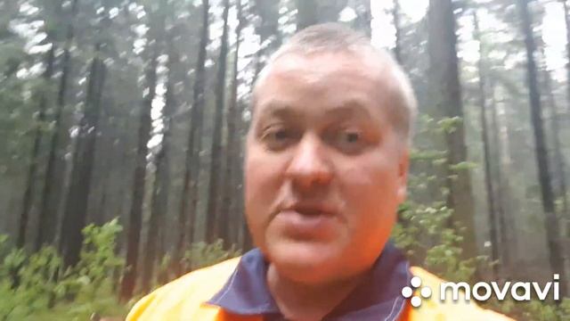 Мотоблок мотор сич (Grasshopper),за дровами!!! смотреть онлайн