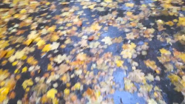 На ковре из желтых листьев.... смотреть онлайн