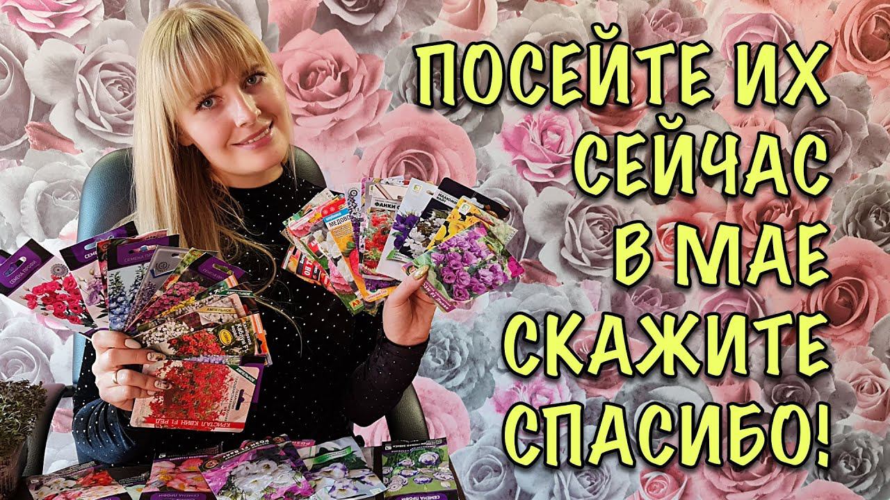 ПОРА СЕЯТЬ! Что посадить в ЯНВАРЕ? Эксклюзивные цветы и новинки сезона! смотреть онлайн