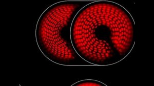 Не работает конфорка варочной панели