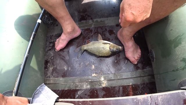 ?Контрольный отлов КАРПА Мордово, Мельгуны смотреть онлайн