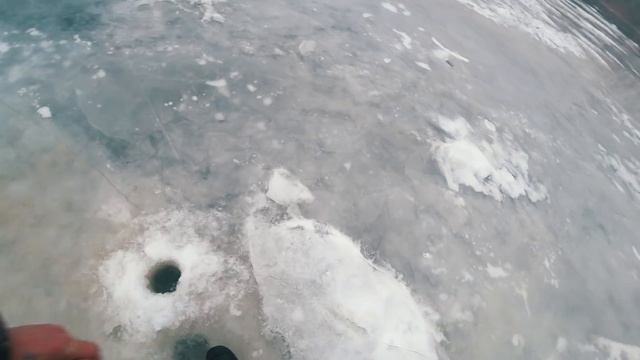 КРУПНЫЕ ОКУНИ КЛЮЮТ ПОХЛЕЩЕ СУДАКА. Нашел крупных окуней. Рыбалка в Астрахани.