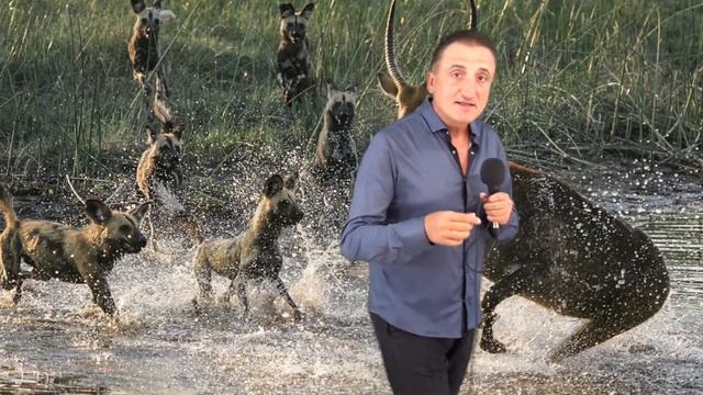 Теория Эволюции. Глава 7. Умственность. смотреть онлайн