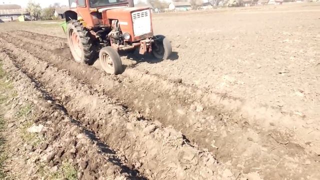 Посадка картофеля трактором Т 25 !!! Двухрядная картофелесажалка BOMET смотреть онлайн