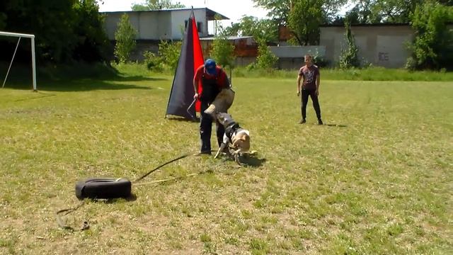 Рем тренинг по защите с утяжелением 14.06.2020 смотреть онлайн