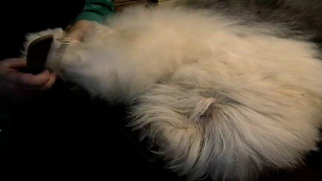 VTS_01_2.VOB смотреть онлайн