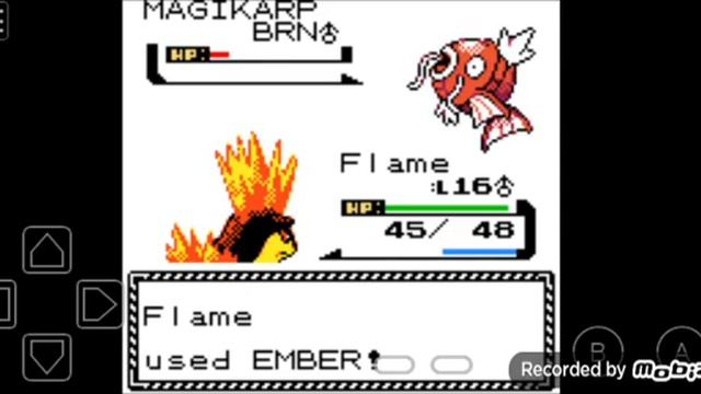 I'm Back with PKMNGOLD + MY TOGEPI LEARNED METRONOME смотреть онлайн