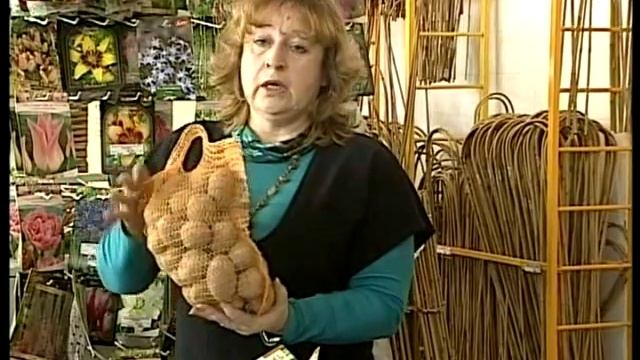 Работы в феврале. Подручный материал. Посев на рассаду. Посадочный материал:картофель. смотреть онлайн