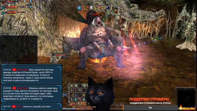 #39 Теос: Продолжение Истории Shaiya. Не кисни, на стриме котика зависни! смотреть онлайн