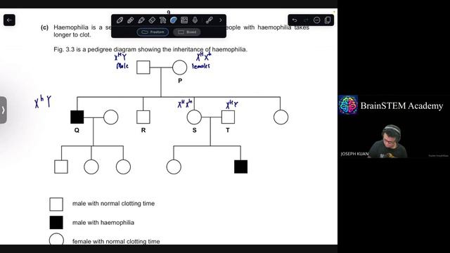 IGCSE Biology Paper 4 [Specimen Paper 2023] Solved with A* Model Answers [0610/04] смотреть онлайн