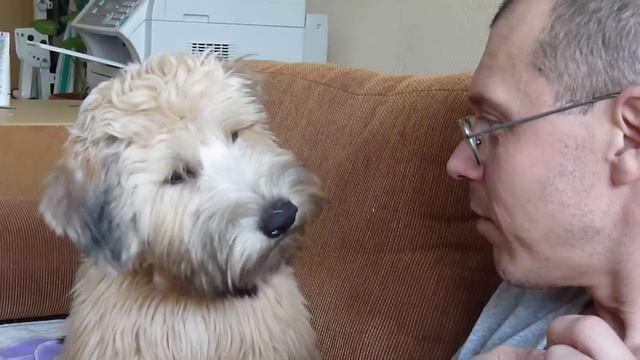 масик смотреть онлайн