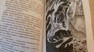 Обзор на книгу Коты Воители "Месть Кленовницы" Эрин Хантер Сборник Повестей "Нерассказанные Истории