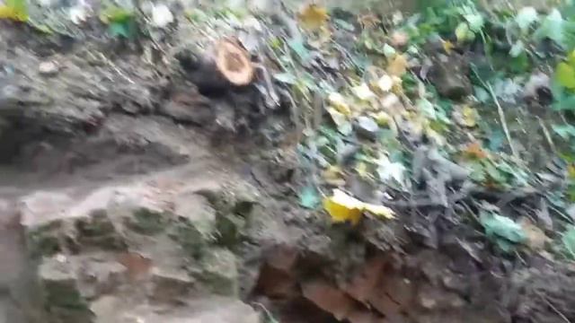 Стара кухня. Початок розчистки фундаменту смотреть онлайн