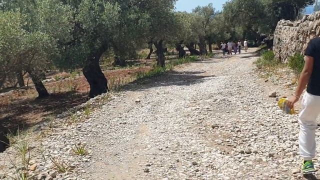 Excursion to Sa Fordada| Deia| Valldemossa| Discover Mallorca| Things to do in Palma de Mallorca|se смотреть онлайн